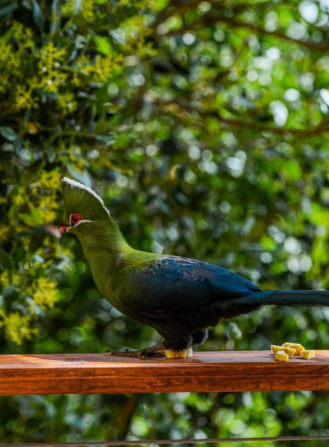 Forest Hill Wildernis Eksteriør bilde